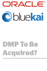 bluekai adexchanger