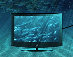 fish swim across the screen in a TV underwater