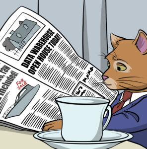 A cartoon version of the meme where a cat in a suit is reading a newspaper,. The page is open to classifieds section with ads for a data warehouse or a data lake house – the joke is that the cat is shopping for real estate.